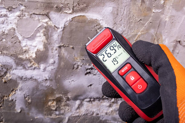 Professional Mold Removal in Merced, CA