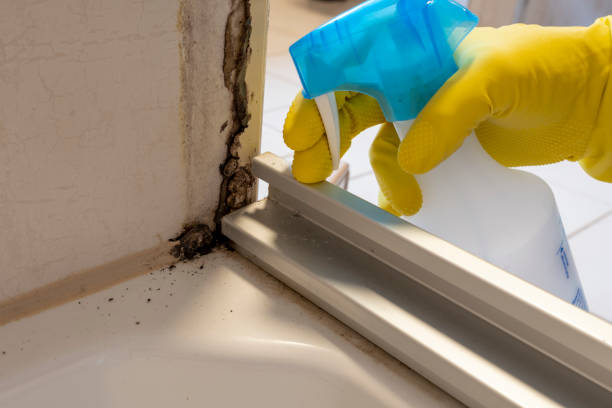 Best Mold Inspection  in Merced, CA