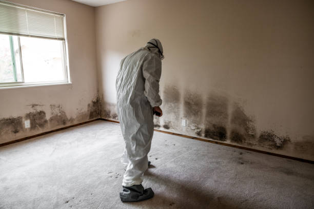 Best Mold Remediation Experts  in Merced, CA