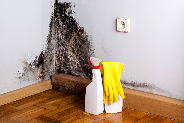 Best Local Mold Removal Service  in Merced, CA