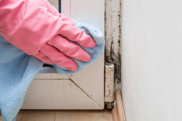 Best Certified Mold Removal  in Merced, CA